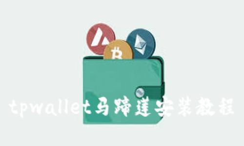 tpwallet马蹄莲安装教程