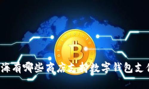 上海有哪些商店支持数字钱包支付？