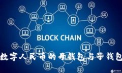 详解数字人民币的母钱包