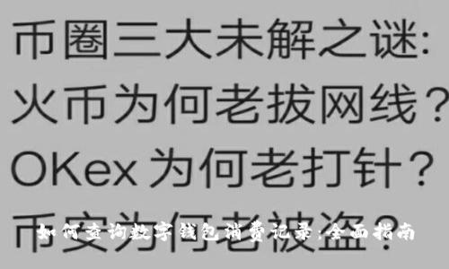 如何查询数字钱包消费记录：全面指南