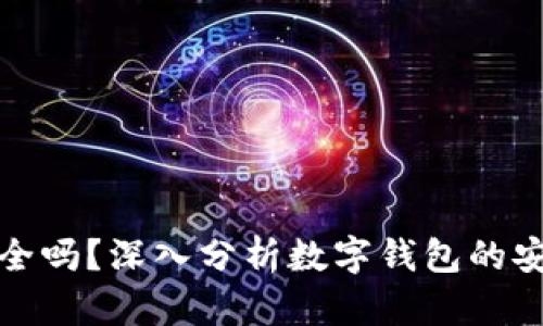 下载数字钱包安全吗？深入分析数字钱包的安全性及相关风险