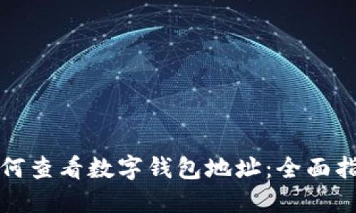 如何查看数字钱包地址：全面指南
