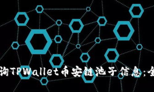 如何查询TPWallet币安链池子信息：全面指南