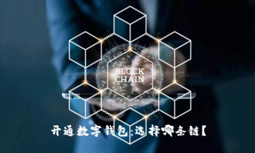 开通数字钱包：选择哪条链？
