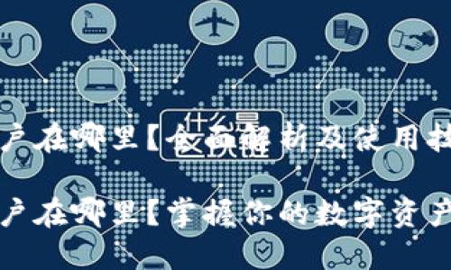 数字钱包账户在哪里？全面解析及使用技巧

数字钱包账户在哪里？掌握你的数字资产的最佳位置