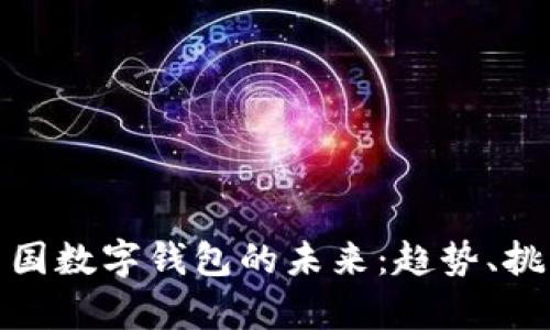 : 探索中国数字钱包的未来：趋势、挑战与前景