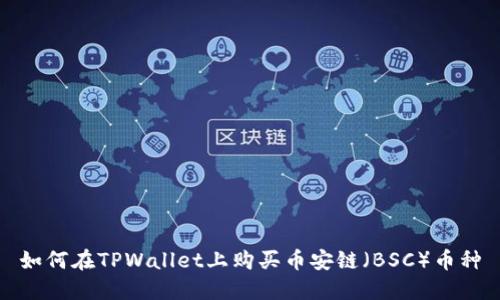 如何在TPWallet上购买币安链（BSC）币种