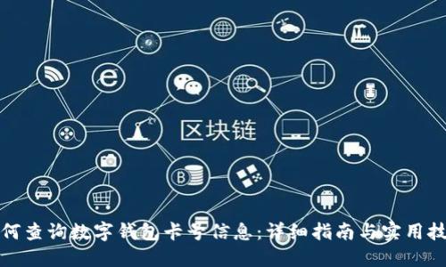 如何查询数字钱包卡号信息：详细指南与实用技巧