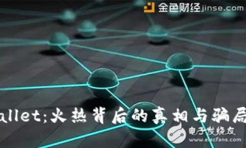 TPWallet：火热背后的真相与骗局解析