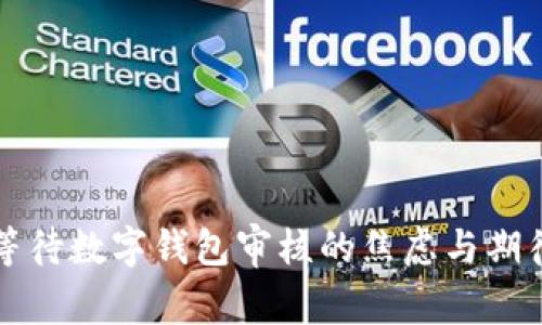 等待数字钱包审核的焦虑与期待