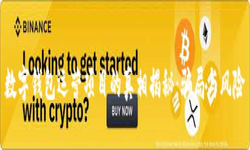 数字钱包运营项目的真相揭秘：骗局与风险