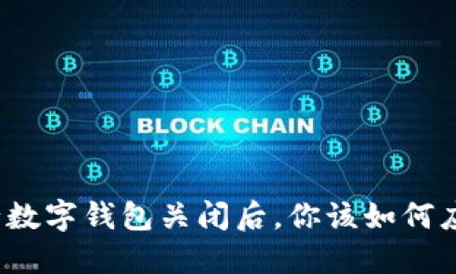 农行数字钱包关闭后，你该如何应对？