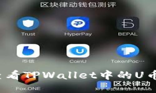 如何查看TPWallet中的U币余额？