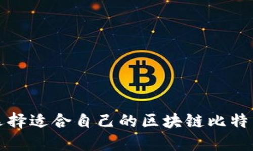 如何选择适合自己的区块链比特币钱包