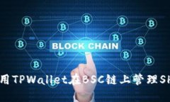 如何使用TPWallet在BSC链上管