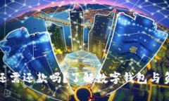 数字钱包还需还款吗？了