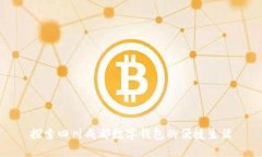 探索四川成都数字钱包的