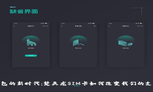数字钱包的新时代：楚天龙SIM卡如何改变我们的支付体验