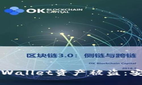 如何防止TPWallet资产被盗：安全保护指南