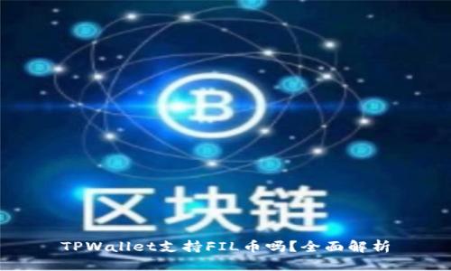 TPWallet支持FIL币吗？全面解析