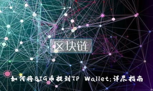 如何将BIG币提到TP Wallet：详尽指南
