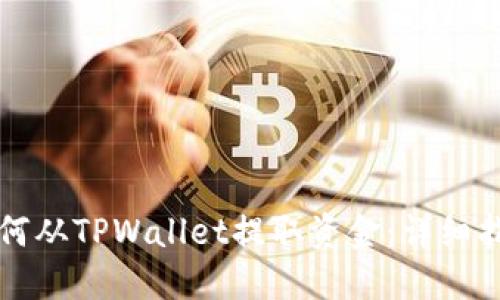 如何从TPWallet提取资金：详细指南