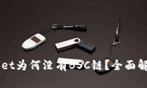 电脑版TPWallet为何没有BSC链？全面解析与解决方案