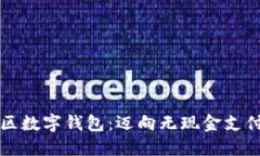 深圳罗湖区数字钱包：迈