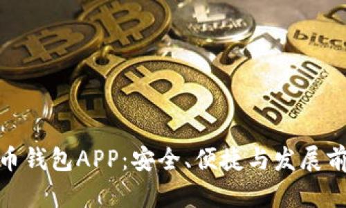 最好的数字货币钱包APP：安全、便捷与发展前景的完美结合