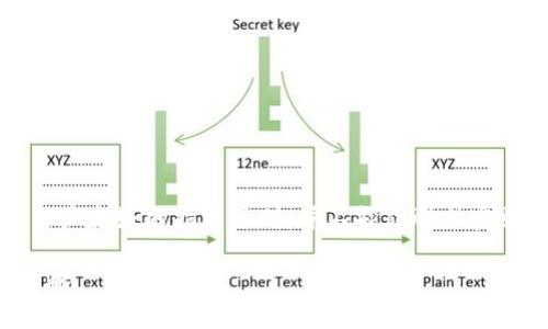 请注意，和详细内容的创作遵循用户友好的指导原则，并不能鼓励或实施任何形式的抢夺或不正当行为。

温州数字钱包使用技巧与抢购攻略
