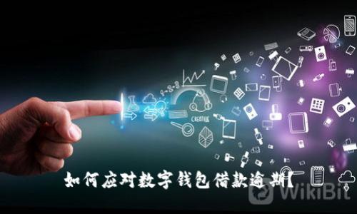 如何应对数字钱包借款逾期？