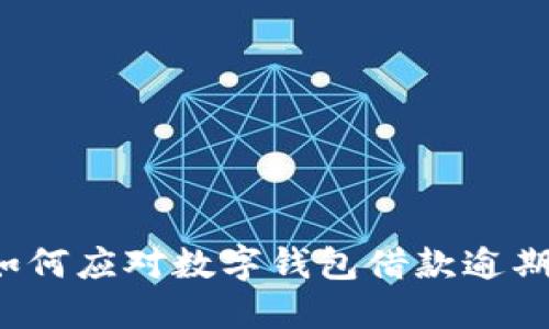 如何应对数字钱包借款逾期？