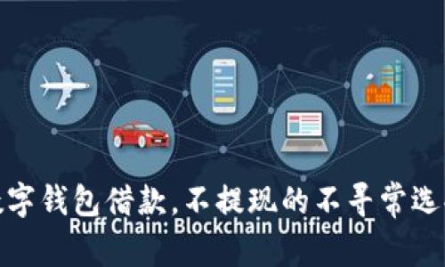 数字钱包借款，不提现的不寻常选择