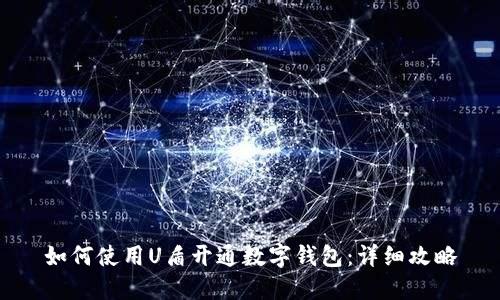 如何使用U盾开通数字钱包：详细攻略