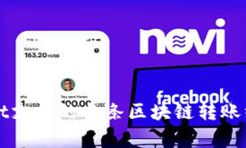 TPWallet支持的多条区块链转账线路解析