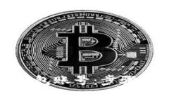 如何查询数字钱包账号：