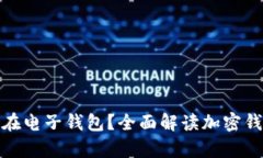 加密资产能否存储在电子