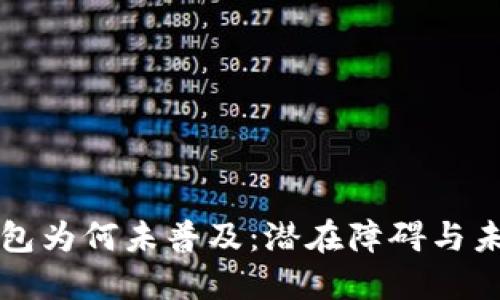 数字钱包为何未普及：潜在障碍与未来展望