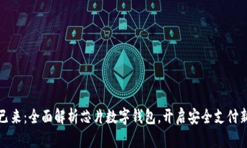 未来已来：全面解析芯片数字钱包，开启安全支付新时代