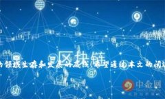    TPWallet重新下载后币不见