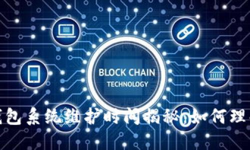 数字币钱包系统维护时间揭秘：如何理解及应对