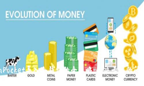 TokenPocket导入冷钱包的全攻略：解决卡住的问题方法