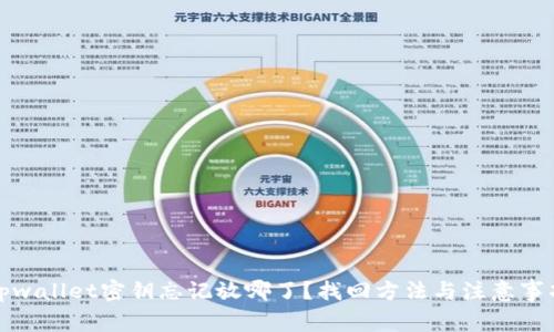 tpwallet密钥忘记放哪了？找回方法与注意事项