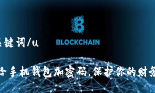 u与关键词/u

如何给手机钱包加密码，保护你的财务安全