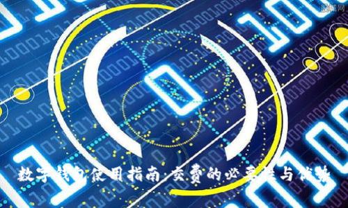 数字钱包使用指南：交费的必要性与优势