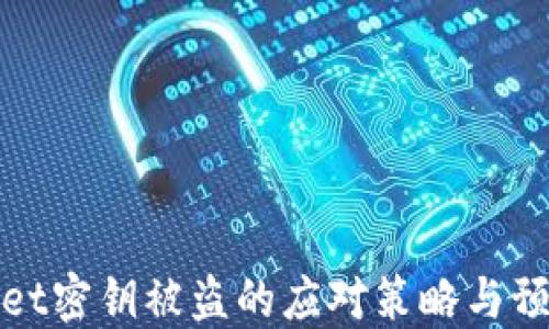 
TPWallet密钥被盗的应对策略与预防措施