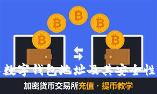 个人数字钱包地址及其安全性详解