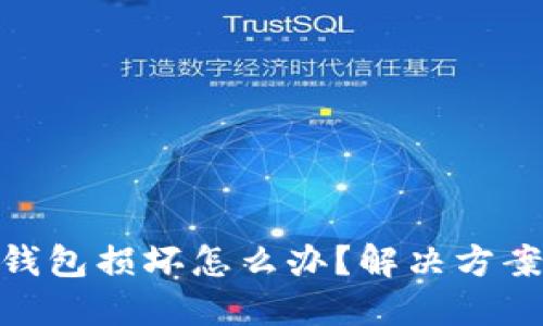 数字人民币钱包损坏怎么办？解决方案与预防措施