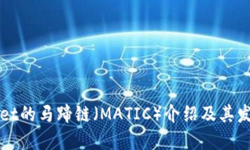 TPWallet的马蹄链（MATIC）介绍及其发展动态