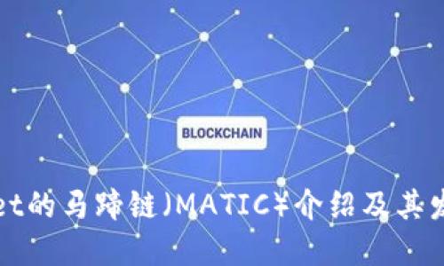 TPWallet的马蹄链（MATIC）介绍及其发展动态